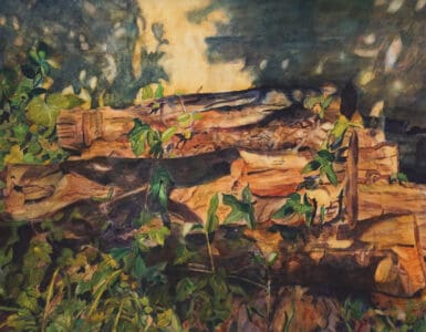 光の揺らめきに包まれて　中島広子